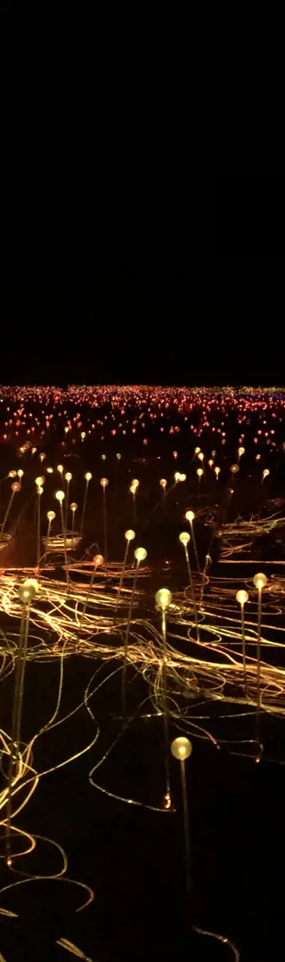 Field of Light